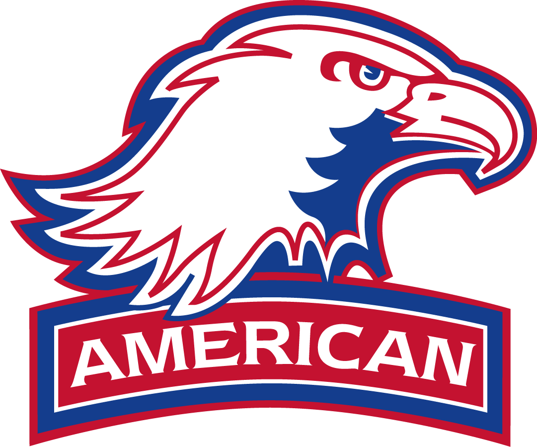 American Eagles 2006-2009 Alternate Logo diy DTF decal sticker